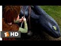 How to Train Your Dragon (2010) - Freeing The Night Fury Scene (1/10) | Movieclips