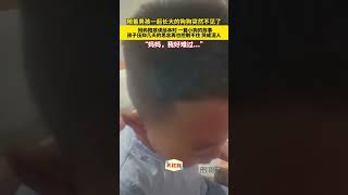 陪着男孩一起长大的狗狗突然不见了，妈妈陪孩读绘本时，一篇小狗的故事，孩子压抑几天的思念再也控制不住 哭成泪人，“妈妈，我好难过...”#泪目