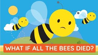 What If ALL The Bees In The World DISAPPEARED?