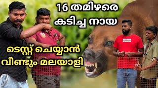 വരുന്നിടത്തു വെച്ച് കാണാം.. Dog challenge.. kombai..