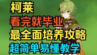 【原神】看完就毕业！柯莱最全面培养攻略！超简单易懂教学！【自由大野猪】