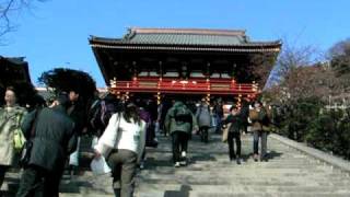 鎌倉の鶴岡八幡宮の大銀杏脇の階段を登って行くと・・・