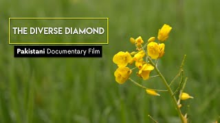 Cultures of Pakistan | The Diverse Diamond | Pakistani Documentary Film