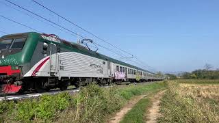 [4K] Trenord REG Bergamo - Milano Porta Garibaldi via Carnate. E464 + MDVC Revamp