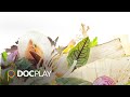 A Matter of Taste | Official Trailer | DocPlay
