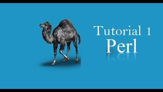 Perl Programming Language (Easy explanation) | Tutorial 1