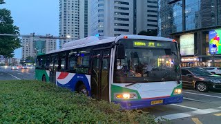 【随拍】青岛公交集团 319路 申沃SWB6115Q7-3（2012）T1166通过香港中路