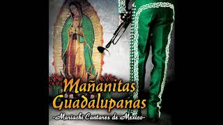 📀 Mañanitas Guadalupanas (Disco Completo) Mariachi Cantares De Mexico 📀