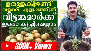 Grow Potatoes easily in container at your home | നമുക്കും ഉരുളകിഴങ്ങ് കൃഷി ചെയ്യാം | Deepu Ponnappan