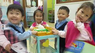 TWGHs Tsui Tsin Tong Kindergarten K1歌曲 過馬路要小心