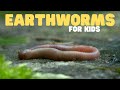 Earthworms for Kids | Learn all about these slimy animals