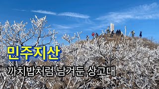 240106 / 민주지산 / 까치밥처럼 남겨둔 상고대 / 도마령-상용정-각호산-민주지산-쪽새골삼거리-쪽새골-황룡사-물한계곡 주차장 /