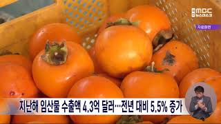 지난해 임산물 수출액 4.3억 달러..전년 대비 5.5% 증가/대전MBC