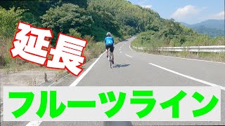 【フルーツライン】紀の川南岸の延長された道は竜門へ