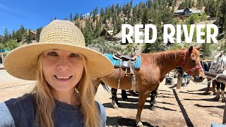 ADVENTURE ACTIVITIES IN RED RIVER | New Mexico Fun | Solo Female Vanlife