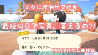 【あつ森】サブ住民で最短何日で住民の写真が貰えるのか?!久々に稼働させたサブ住民で検証【時間操作なし】