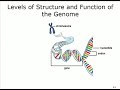 Microbiology Chapter 9 An Introduction to Microbial Genetics By. Dr. Saudi