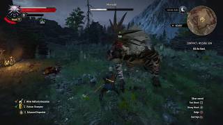 The Witcher 3: Wild Hunt – Complete Edition Morvudd Boss Fight