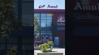 Ekta nagar Amul Foodland 😍 #amul #ektanagar #statueofunity #amulfoodland #viralvideo #shortsvideo