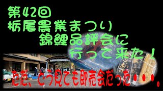 第42回栃尾農業まつり錦鯉品評会に行って来た！