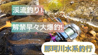 【栃木県渓流釣り】渓流解禁早々大爆釣!栃木を流れる那珂川支流!