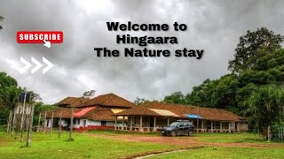 Welcome to Hingaara - The Nature Stay , Guddekeri | Honda Bigwing Mangalore Breakfast ride Ep 4