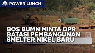 Bos BUMN Minta DPR Batasi Pembangunan Smelter Nikel Baru