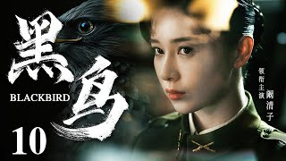 Blackbird 10 | Chinese drama | QingZi Kan ，Jue Huang，Adi，Liuyuan Ding