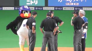 つば九郎 札幌ドームの天井ルールを入念に確認 2019.06.04 プロ野球交流戦 日本ハムファイターズvsヤクルトスワローズ at 札幌ドーム