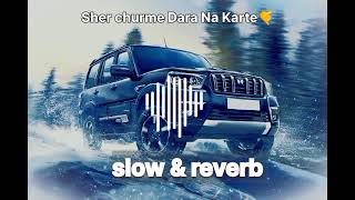 Sher Shurma Dara Na Kaate Khoon Kharaba se | BetX HiTS | Hariyanvi song | New song