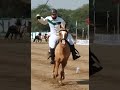 sabzada sultan bahadur aziz sab nazabazi with sword with mubashar tiwana beautifulhorses horse yt