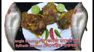 Kangla Macher Pur II কাংলা মাছের পূর II Foli Macher Pur II ফলি মাছের কোপ্তা