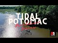 Potomac River Spring Bass Fishing- Breakdown Series- Leesyslvania to Potomac Creek,Va- Pre Spawn