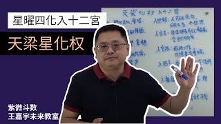 【星曜四化】天梁化权入十二宫｜王嘉宇未来教室