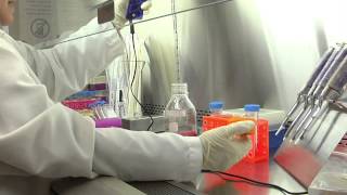 Cell Culture Basics 04: Adding and removing sterile liquid from a container