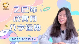 开春啦！乙巳年戊寅月（25.2.3-25.3.4）八字运势【精华版】✨猪猪运势