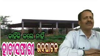 #ହାତୀ ସଫାରୀ କାହିଁକି ହେଲାନାହିଁ ଉଦଘାଟନ#Nandankanan#Forestdept#