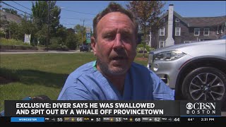 Diver Says He Was Swallowed By Whale Off Provincetown