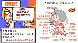 医療プチ講座18回「なぞなぞで基本的な筋肉暗記」