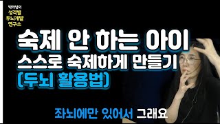 숙제 안하는 아이, 스스로 숙제하게 만들기 두뇌활용법 | 호두까기선생