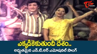 Yekkadikeluthundhi Desam Video Song | Bangaru Manishi Movie | NTR Emotional Song | Old Telugu Songs