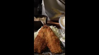 家で釣ったアジを秒速でフライにして食べるパンダ