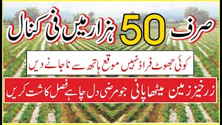 زرخیز زمین 50 ہزار میں فی کنال Land for sale | Agriculture land for sale | 0300 3966032 | cheapland