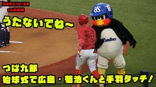 つば九郎　始球式で広島・菊池くんと手羽タッチ！　2023/6/30 vs広島