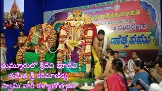 నాయుడుపేట.(MBVoiceChanel) తుమ్మూరు లో శ్రీదేవి భూదేవి సమేత శ్రీ కరి మాణిక్య స్వామి వారి కళ్యాణోత్సవం