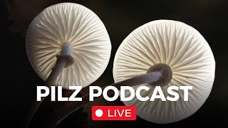 Pilz Podcast Live #75 mit @derpilzfluesterer