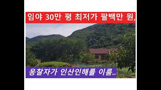 임야 30만 평 최저가 팔백만 원, 응찰자가 인산인해를 이룸.. (공매 물건)