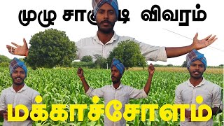 மக்காச்சோளம் முழு சாகுபடி விவரம்  |||•#F2DGARDEN  ||| #F2D #farming #maize