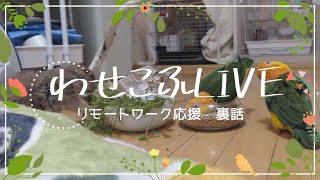 【リモートワーク応援】デモ動画【わせこふLIVE】