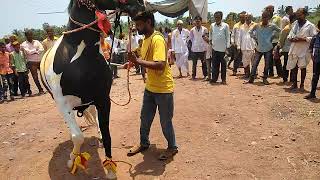 Vishnu SaniakannadaYouTube channel ಕಾಲ ತಿಪ್ಪಿ ಜಾತ್ರಾ ಮಹೋತ್ಸವ ಅಂಗವಾಗಿ ಸಾಂಸ್ಕೃತಿಕ ಕಾರ್ಯಕ್ರಮ ನಡೆಯಿತು ..